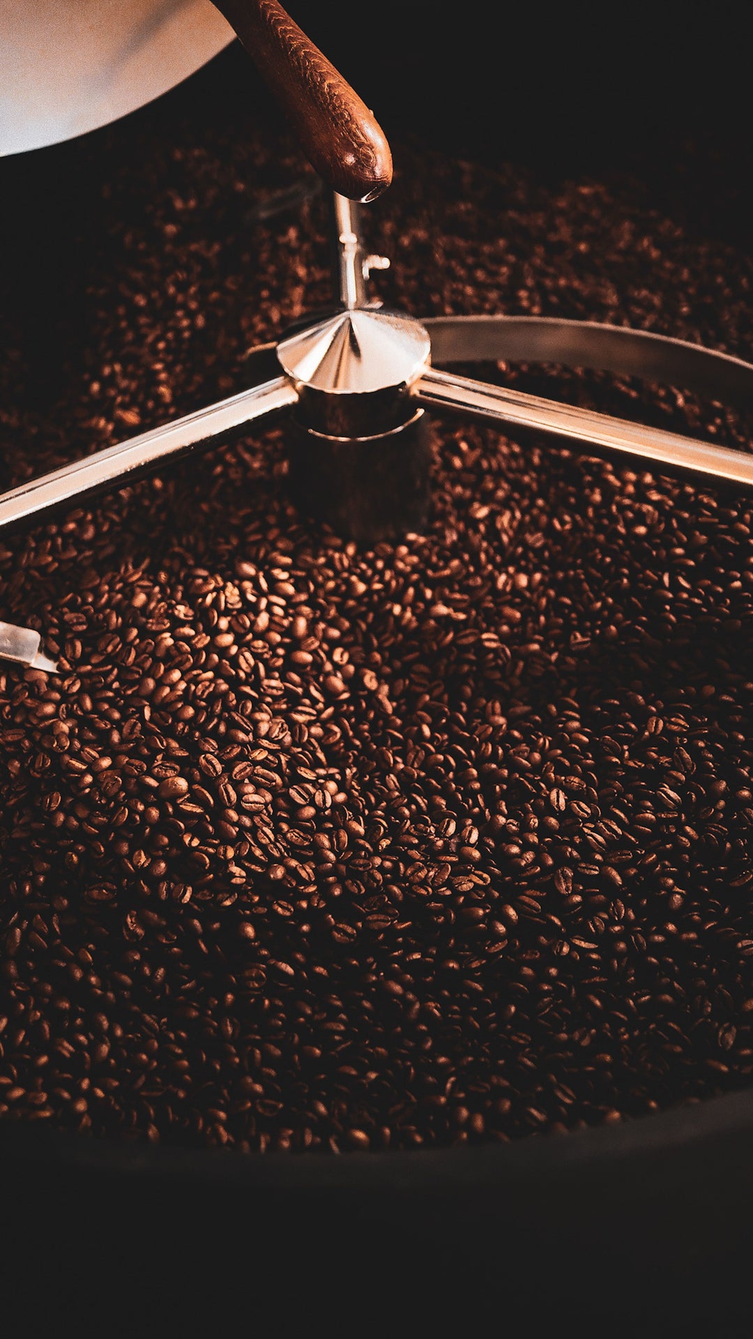 What’s the Difference Between Light, Medium & Dark Roast?