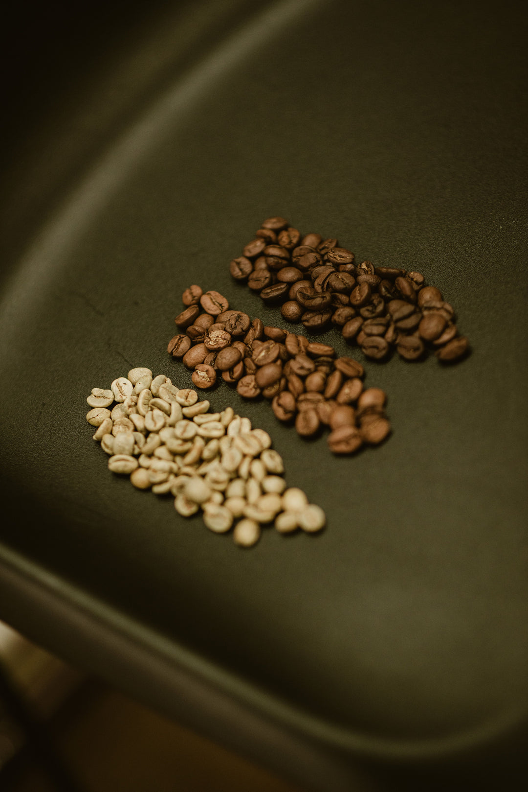 Why Fresh Roasted Coffee Actually Matters