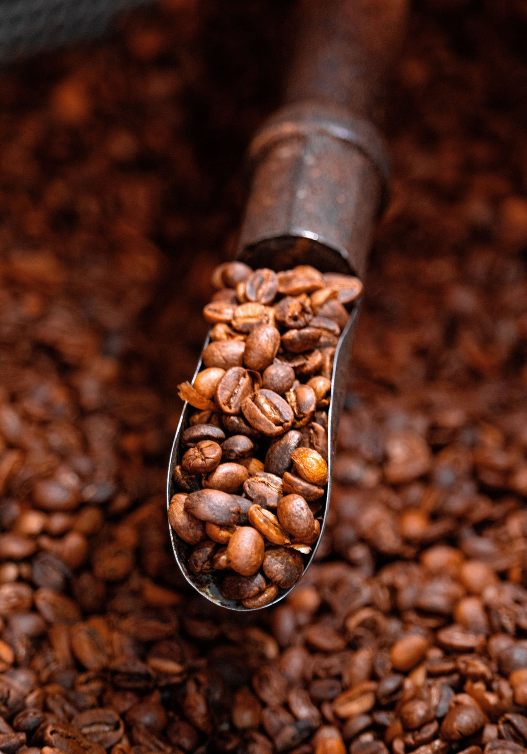 What Coffee Has the Least Acid? A Guide to Smoother, Low-Acid Coffee